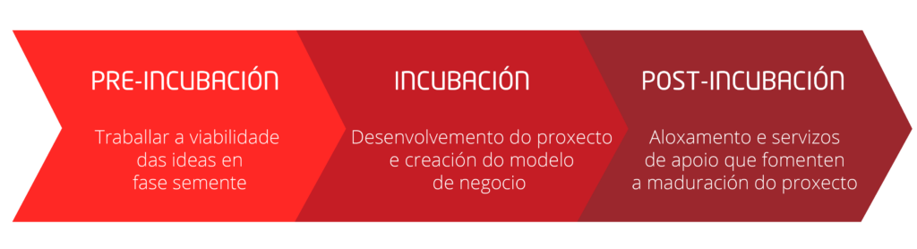 Metodoloxía